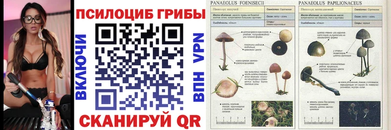 Галлюциногенные грибы Magic Shrooms  купить закладку  Петрозаводск 